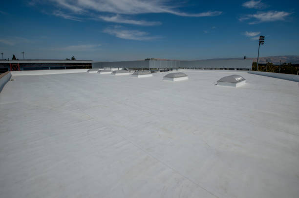 Best Cold Roofs  in Spencer, WV