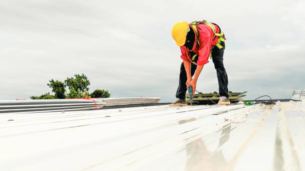 Best Chimney Flashing Repair  in Spencer, WV