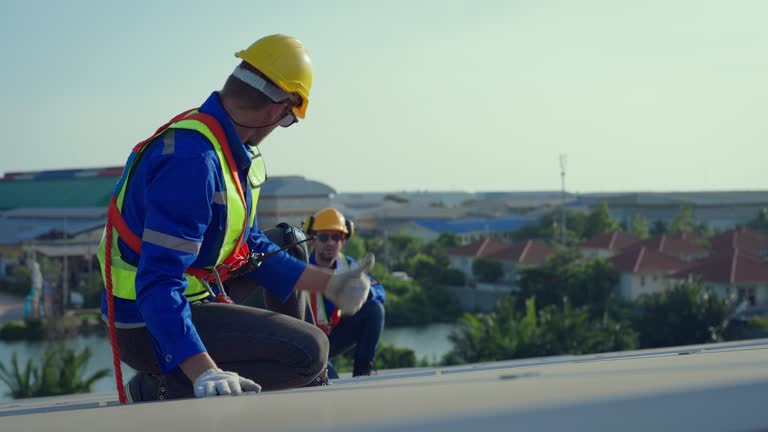 Best Skylight Installation and Repair  in Spencer, WV